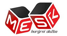 Mesik_logo